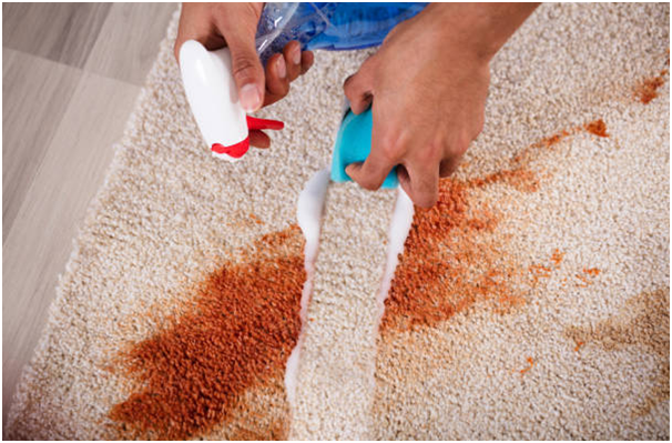 Professional Carpet Seam Repair Service